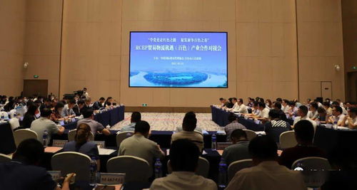 對接RCEP新機遇，共謀貿易物流新篇章——中國國際貨運代理協會考察團赴我市開展產業合作對接